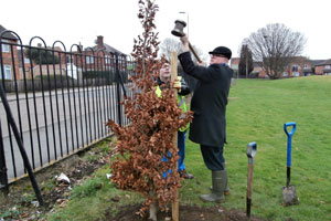   Fullhurst Tree planting