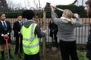  Fullhurst Tree planting