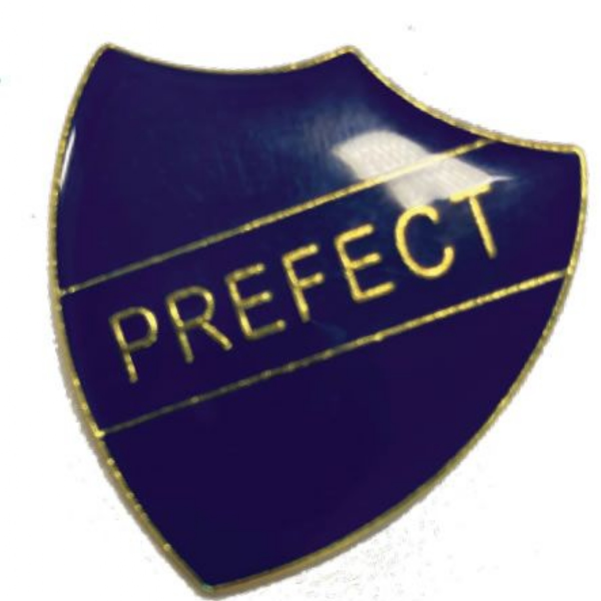 fullhurst-community-college-what-makes-a-prefect-in-their-own-words